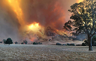 Bushfire rages on a hill  