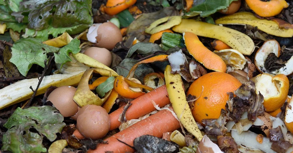 Organic food scraps in a garbage bin.