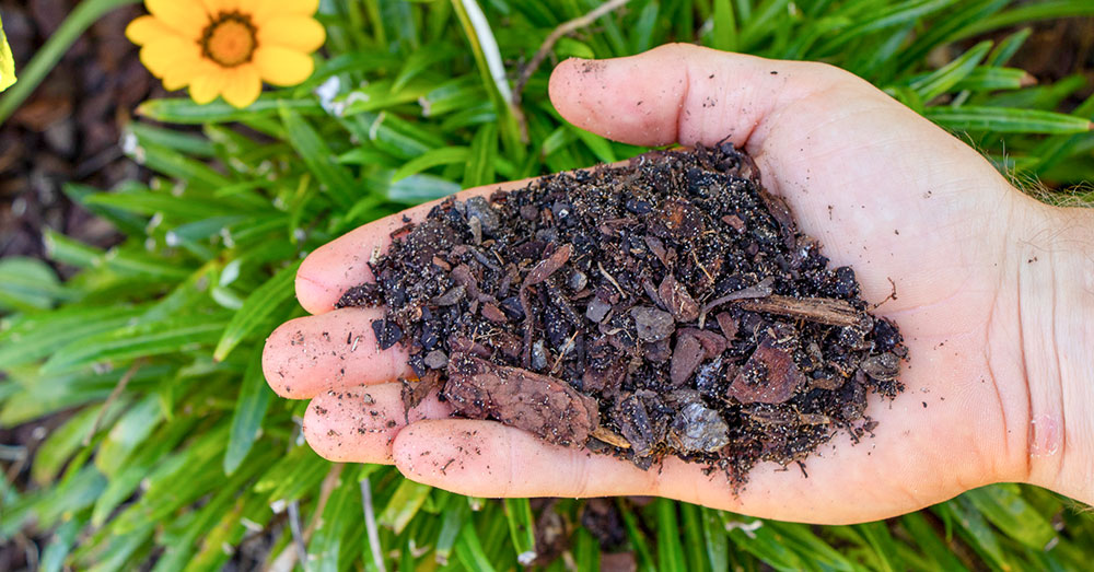 A hand holding compost.