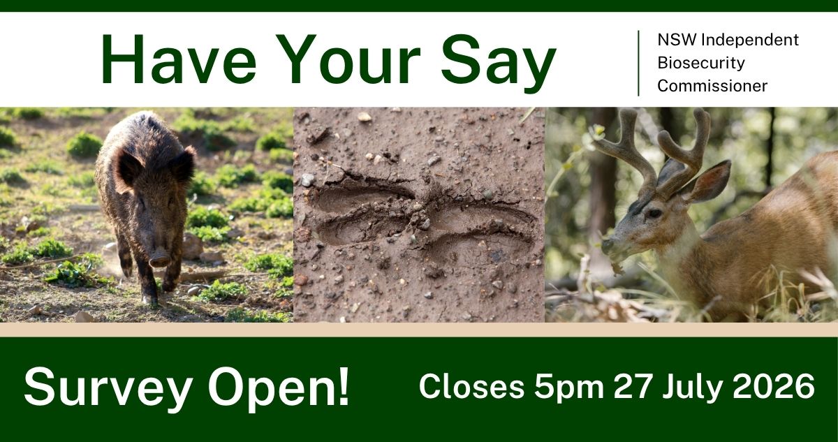 Banner promoting a NSW Independent Biosecurity Commissioner survey, featuring a feral pig, animal tracks and a deer, with the text "Have Your Say", "Survey Open!" and "Closes 5pm 27 July 2026".