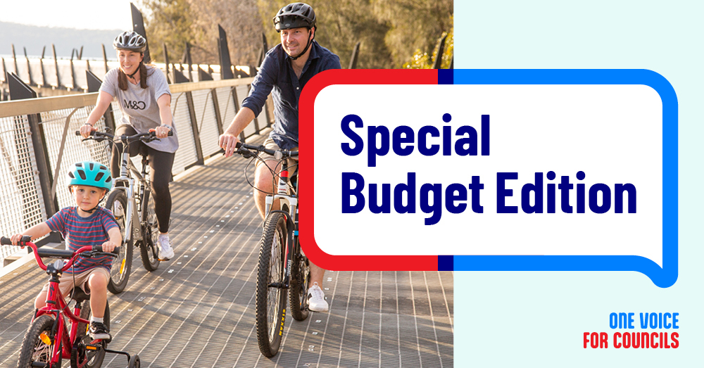 Special Budget Edition banner.