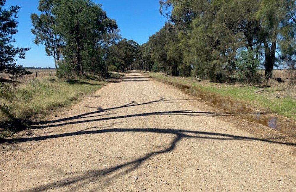 A dirt road in the Bland Shire.