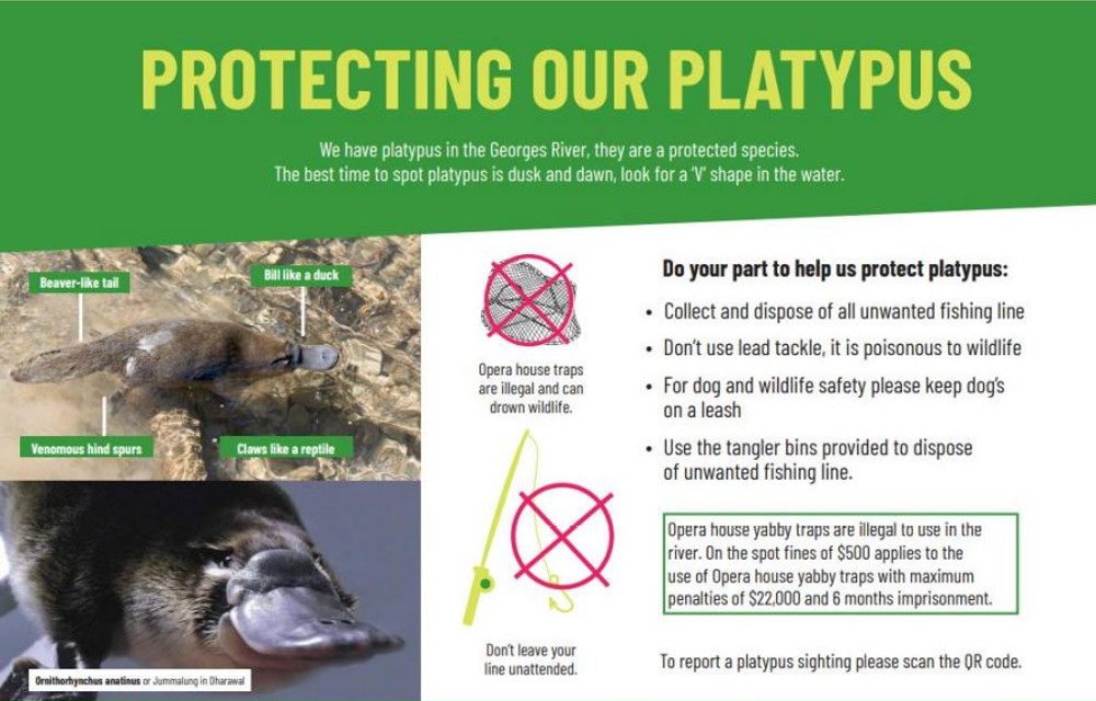Cambelltown Protecting our Platypus leaflet