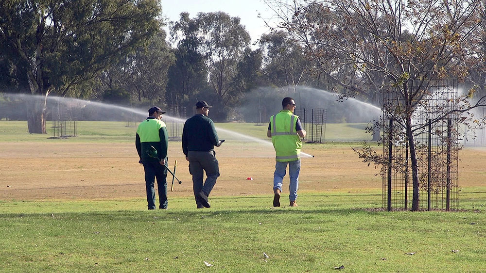 Fields being watered in Wagga Wagga.