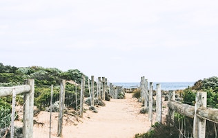 Sand beach path leading to the ocean.