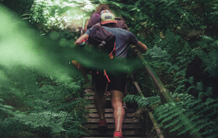 Pair of bushwalkers, surrounded by green vegetation, climbing some bush stairs.