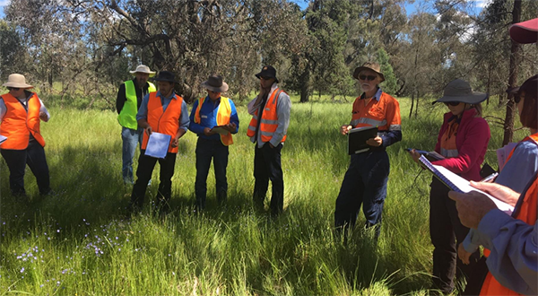 People with clip boards standing in a paddock.