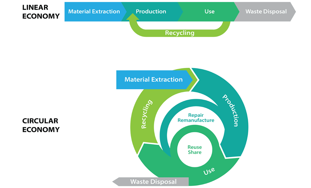 Diagram showing the difference between and linear and circular economy.